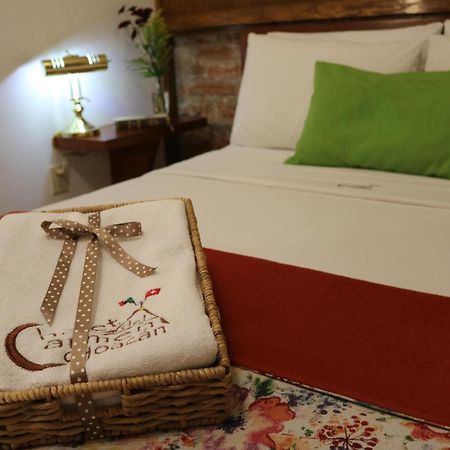 Chalet Del Carmen, Coyoacan Mexico Extérieur photo