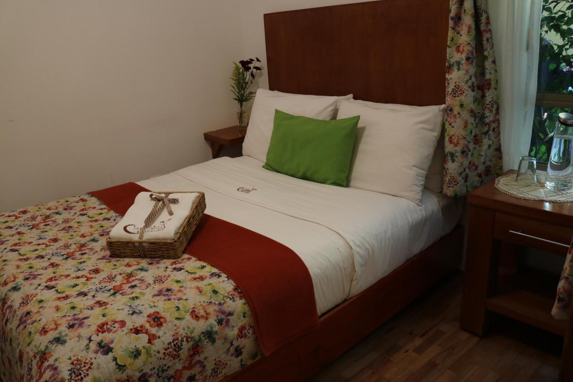 Chalet Del Carmen, Coyoacan Mexico Extérieur photo