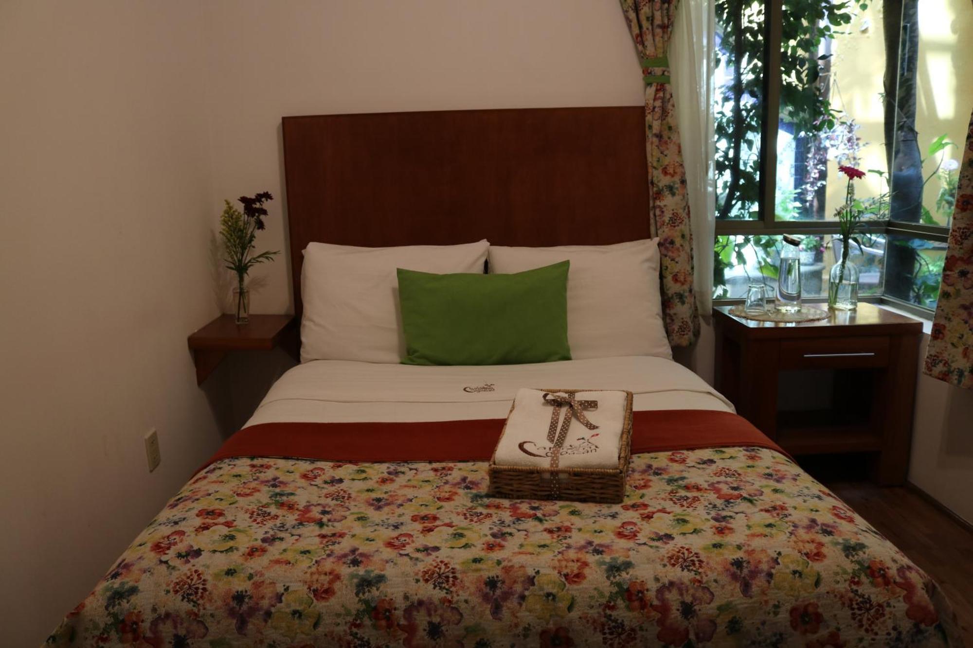 Chalet Del Carmen, Coyoacan Mexico Extérieur photo