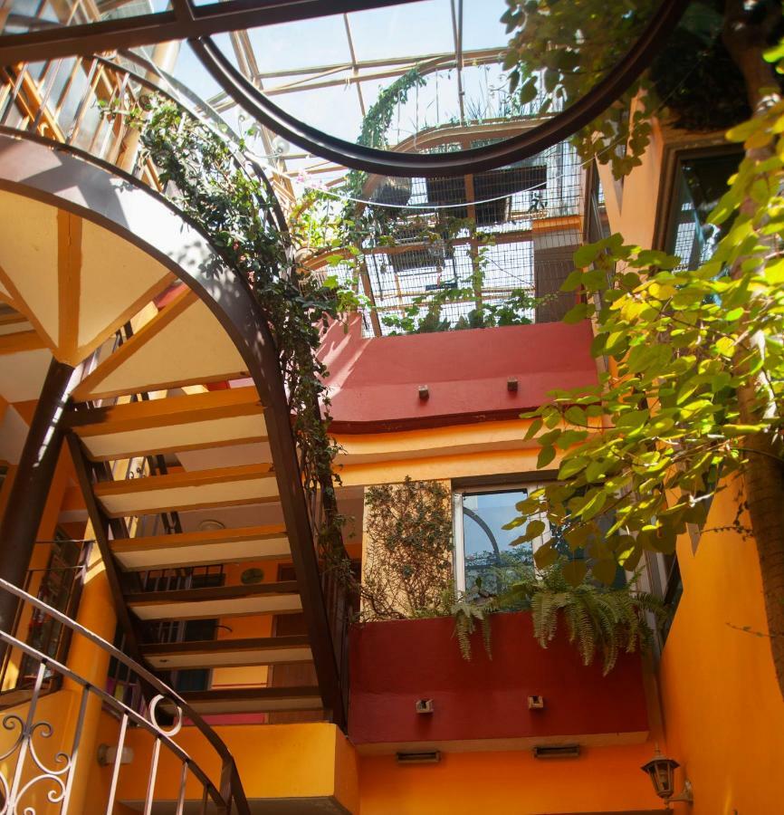Chalet Del Carmen, Coyoacan Mexico Extérieur photo